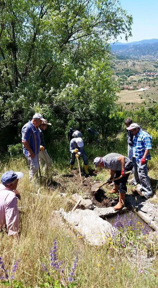 Ağaçlandırma projesi